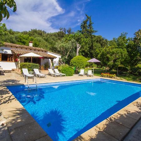 Preciosa villa típica mallorquina con wifi y a/c Pollensa Exterior foto